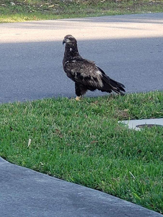 Hotel Quails Nest Cape Coral Zewnętrze zdjęcie